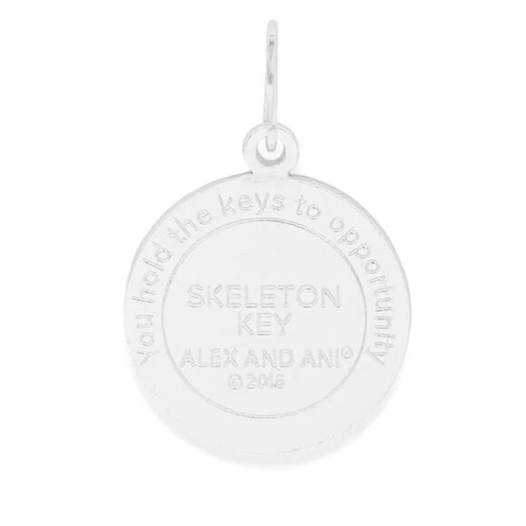 Alex and Ani 
Skeleton Key Chain Station Charm - Picture 3 of 6